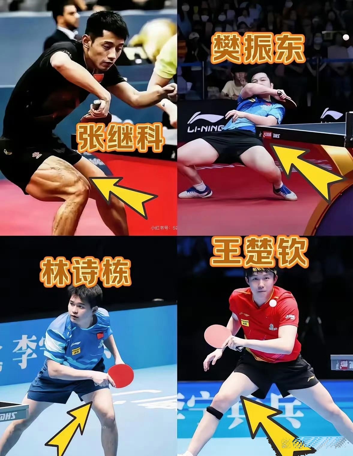 关于比利时乒乓球队轻取德国乒乓球队,张继科爆发神勇的信息 关于比利时乒乓球队轻取德国乒乓球队,张继科爆发神勇的信息