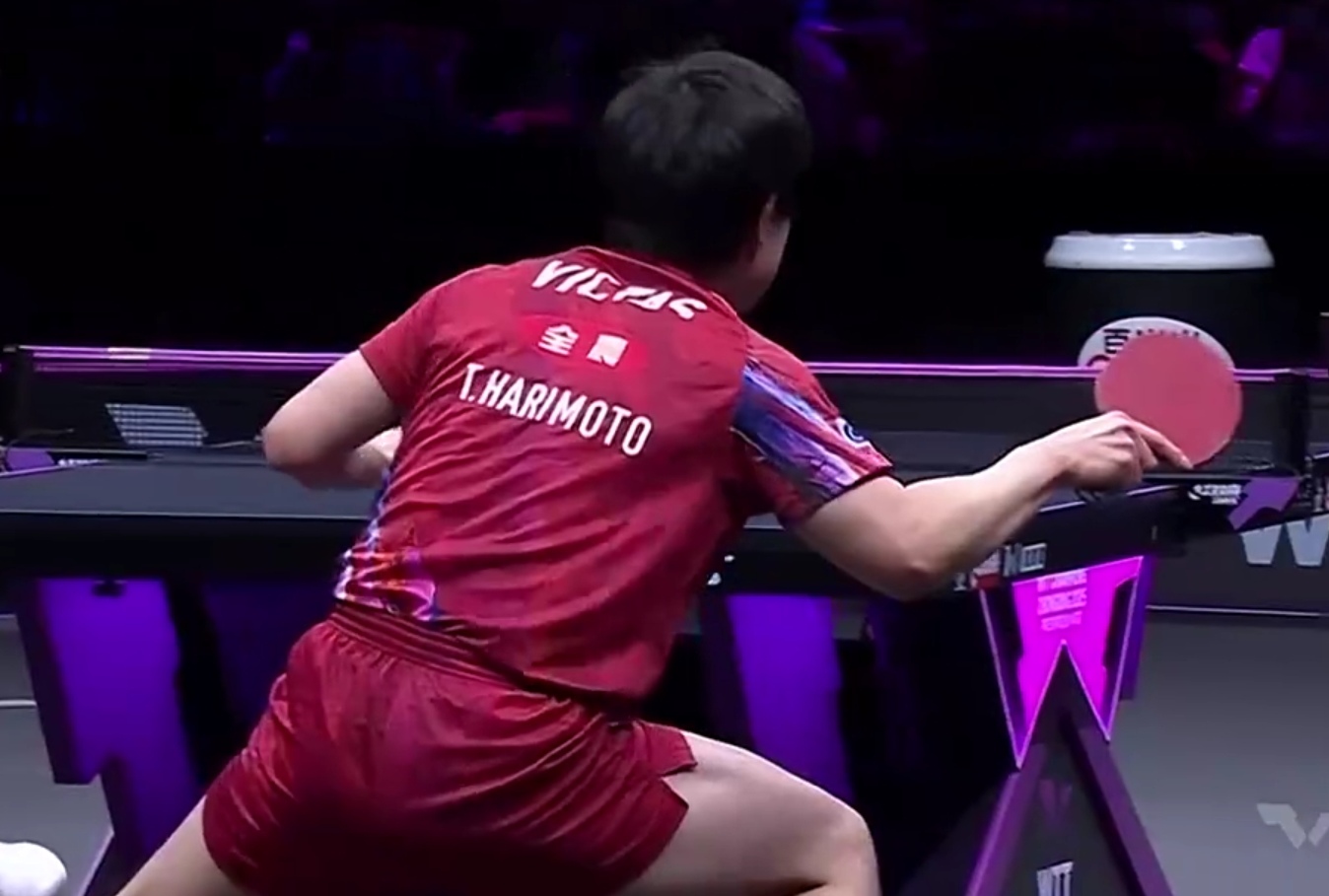 英格兰队鏖战中国队，张本智和高光表现