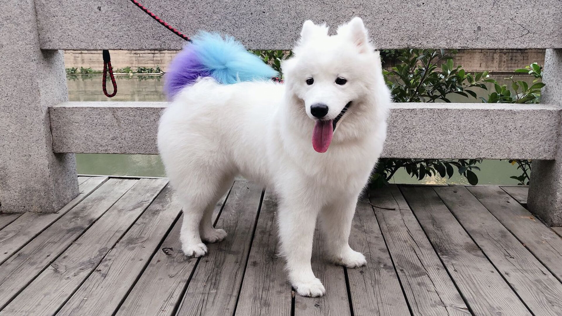 克莱式关键先生,山西队巅峰对决胜出雄鹿