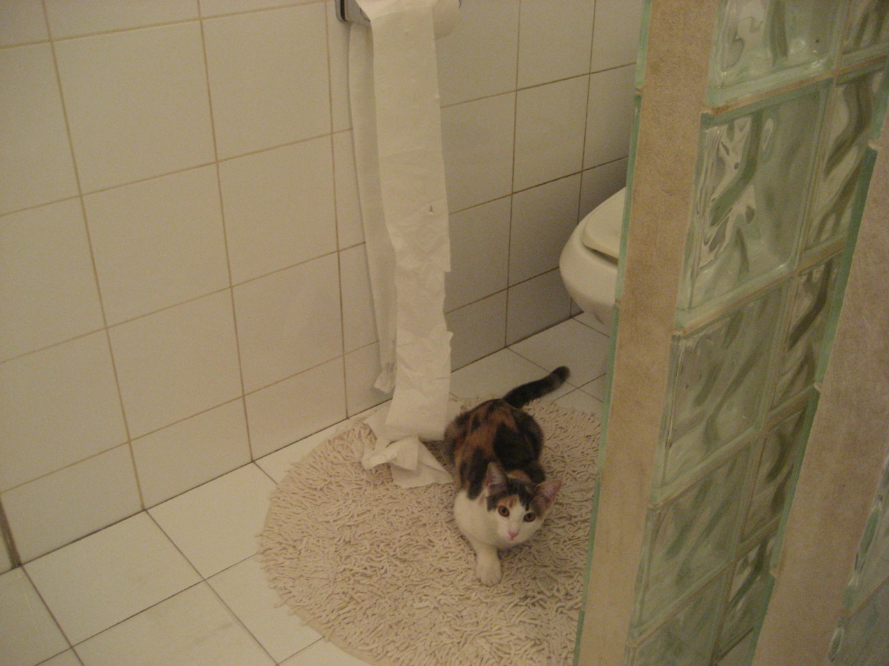 布伦森闪耀全场，完美发挥主导战局，勇士与篮网的较量见证新星崛起