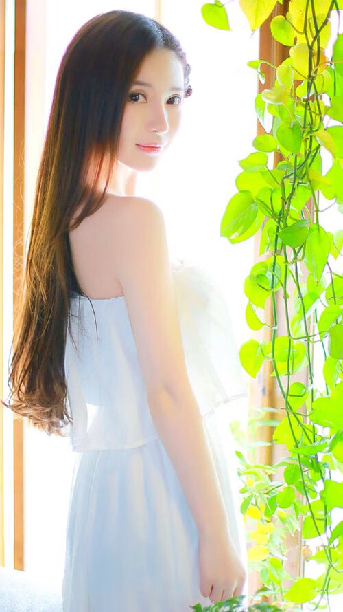 双线争锋，F1冠军决战夜，阿尔及利亚足球压哨绝杀卡塔尔