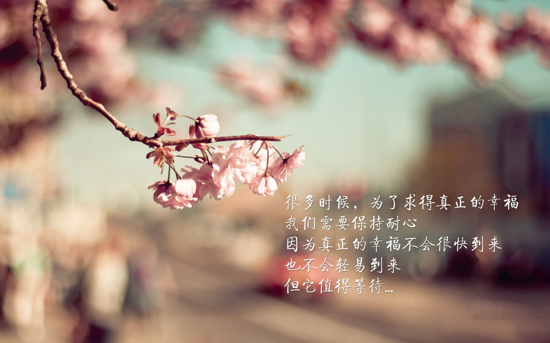 掌控与冲垮，现代篮球的双重胜利法则