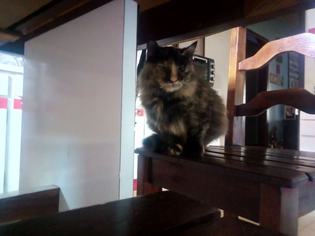 开云体育APP下载-奥运前夜的加冕，班凯罗血染黄蜂，一声狮吼预订巴黎门票